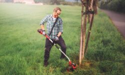 tagliabordi per giardinaggio