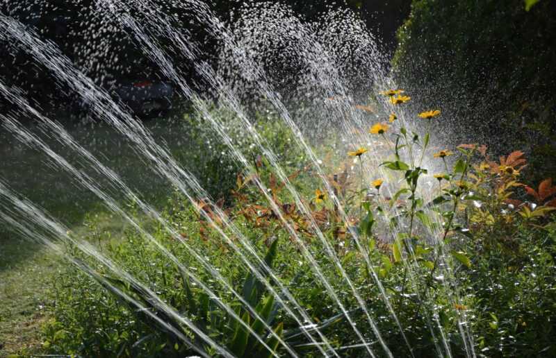 irrigare correttamente il giardino