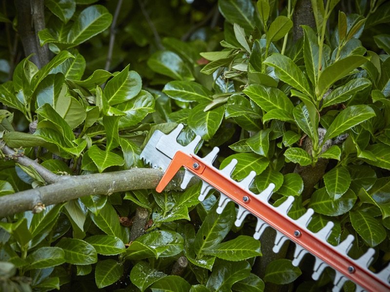 BD-tagliasiepi-batteria-2020