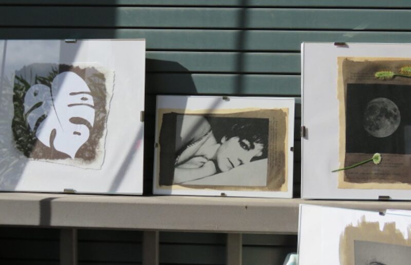 la tecnica della cianotipia