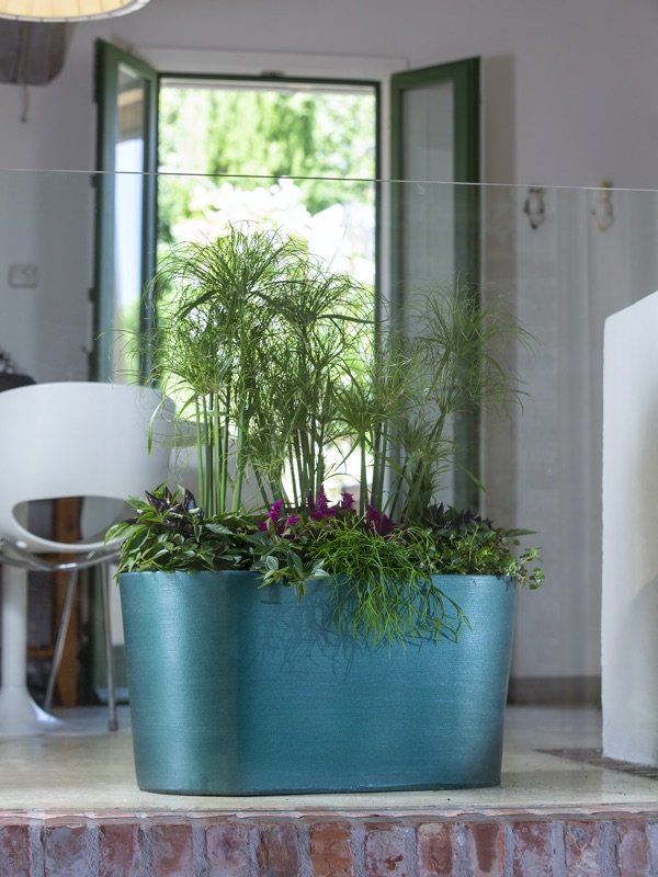 ANTICOMESTIERE-vaso-colorato-