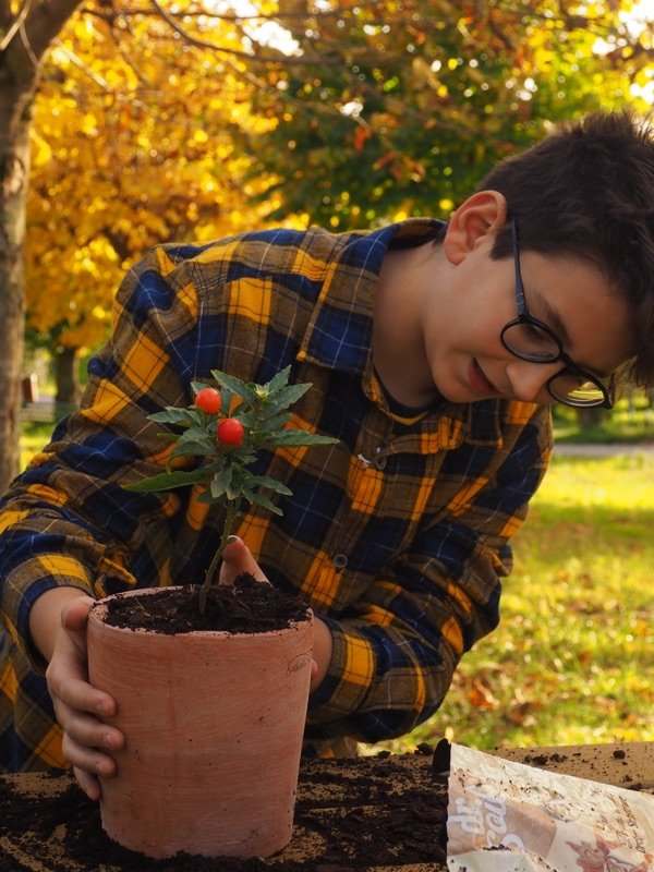 ANTICOMESTIERE-vaso-colorato