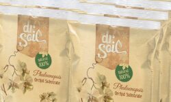 terriccio dr. soil di anticomestiere