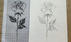 disegnare con la griglia