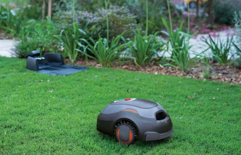 robot rasaerba sul prato