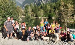 gruppo vacanze con cani