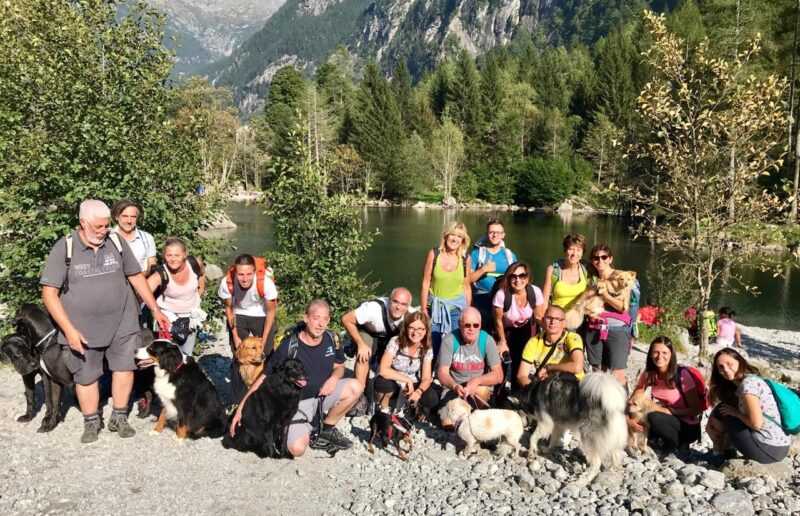 gruppo vacanze con cani