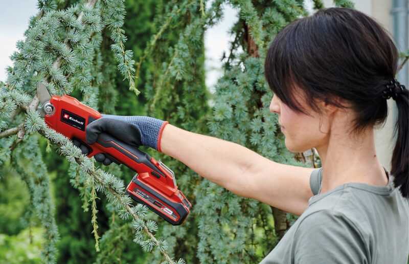 potare i rami con cesoie a batteria