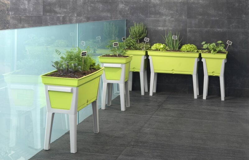 orto urbano sul terrazzo di casa