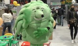 il riccio simbolo di TuttoGiardino