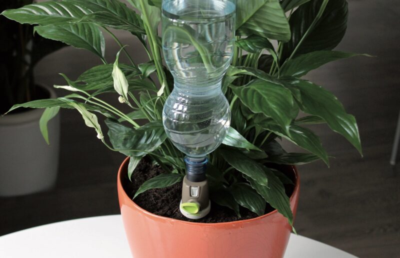irrigazione piante in vaso
