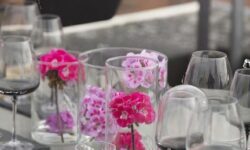 Geranio Summer Party