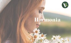 VerdeVivo Harmonia da Kollant