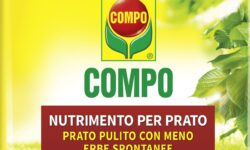 Compo Prato Pulito