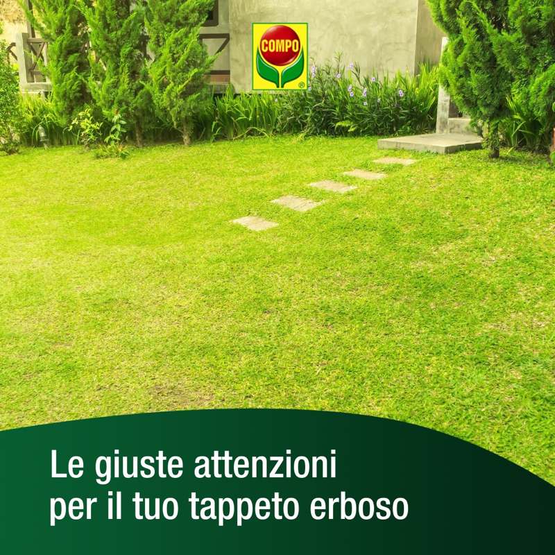 Prato Pulito E Ordinato