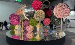 fiori al Myplant & Garden 2022