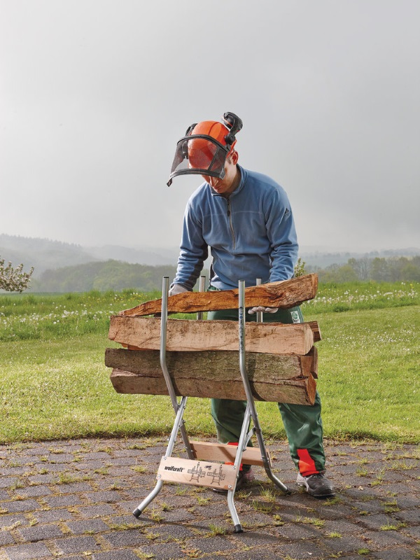 Wolfcraft Cavalletto Ott2014 PG1