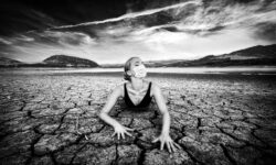 Fondazione 3M Archivio Fotografico