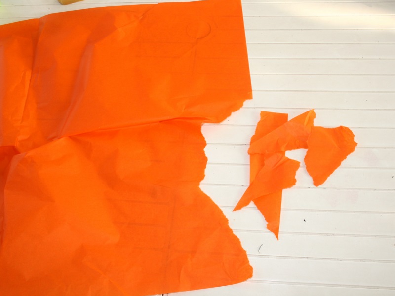 Hallowen Lanterna Pge