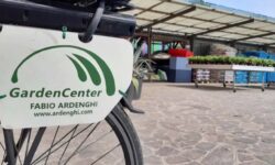 Ardenghi Garden Center