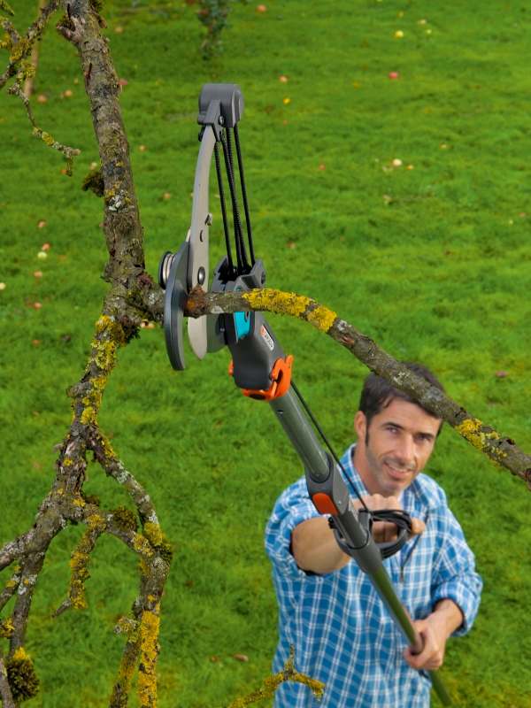 Gardena Asce Svettatoi PG2