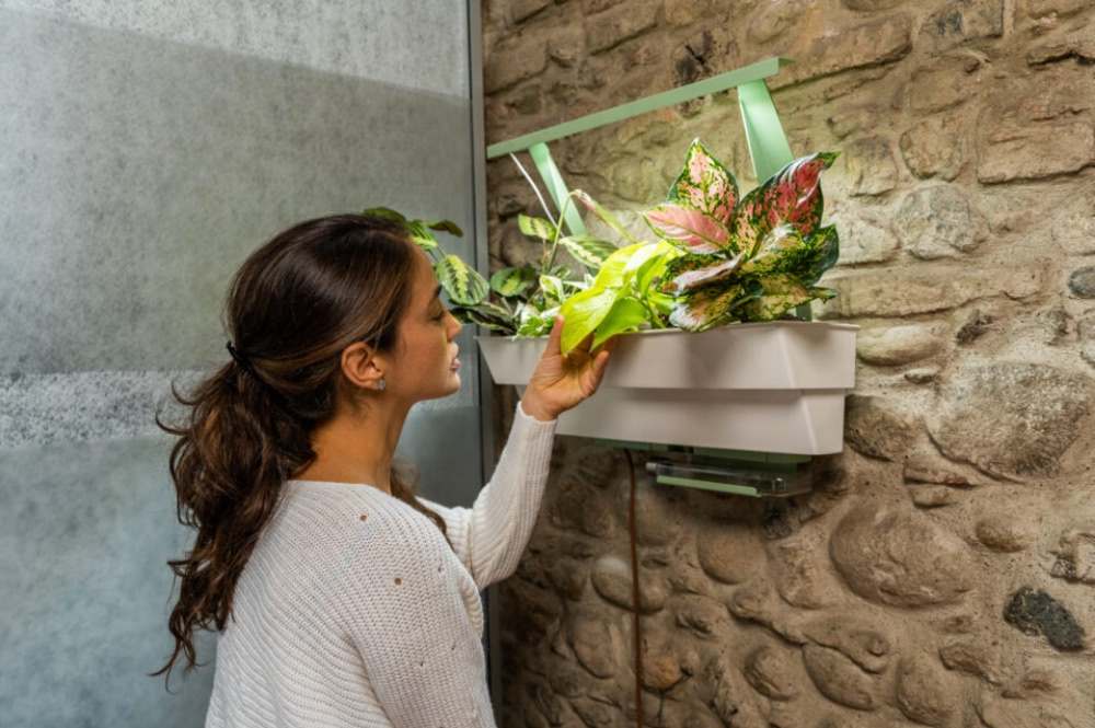 HEDERA Illuminazione A Led