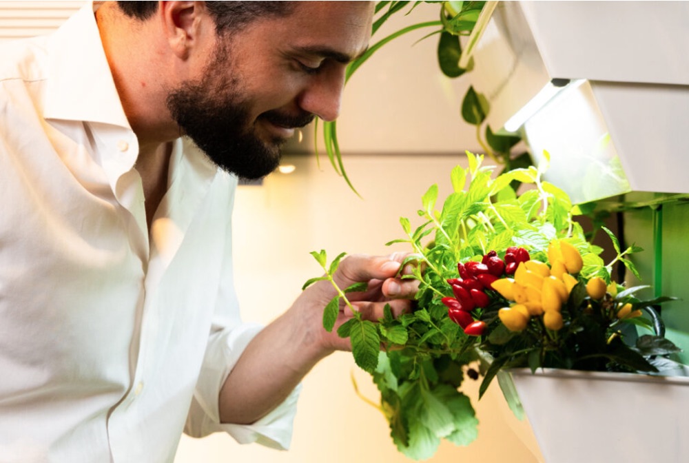 HEDERA Le Aromatiche In Cucina