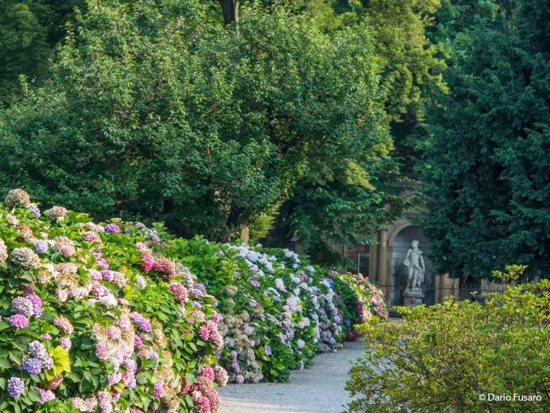 VillaLittaLainate Pg5