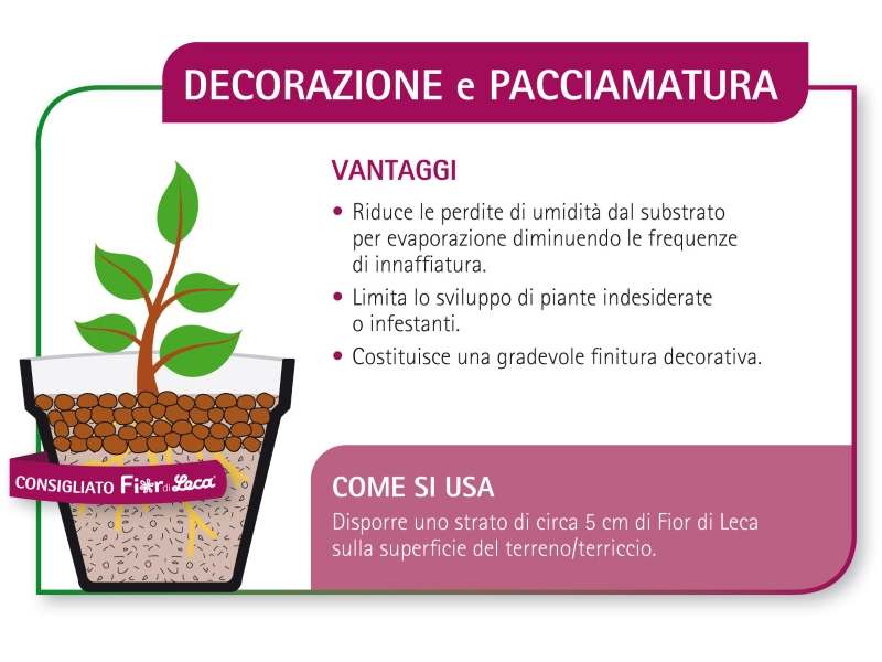 Argilla Espansa Leca 4