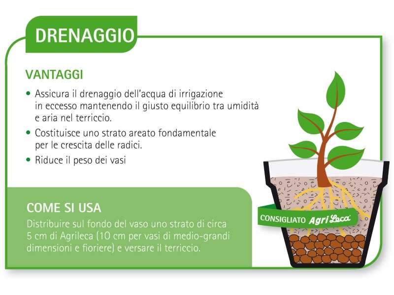 Argilla Espansa Leca 5