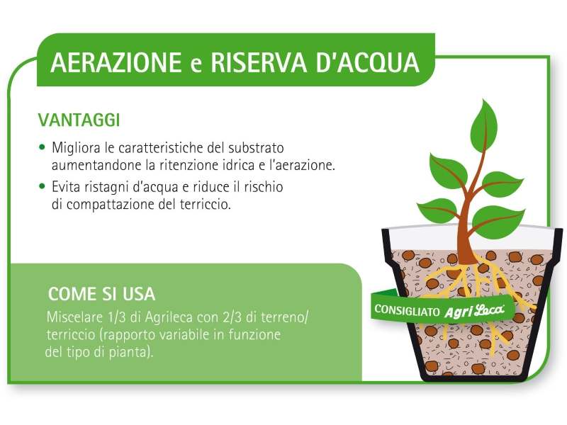 Argilla Espansa Leca 6