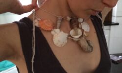 Collana Conchiglie