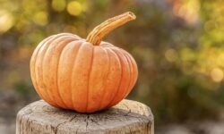 Halloween Intagliare Zucca