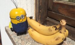 Minion
