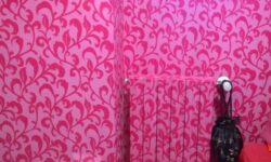 Nascondere Con Colore