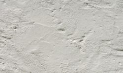 Rivestire Parete Gesso