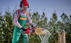 EINHELL Elettrosega FORTEXXA