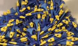 PENNELLI CINGHIALE Fabbrica