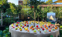 I Frutti Del Castello 2022