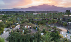 Radicepura Garden Festival 2021