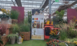 Garden Festival Autunno 2022