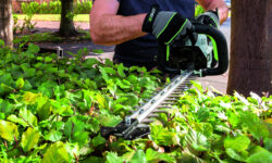 Tagliasiepi EGO Guida Acquisto