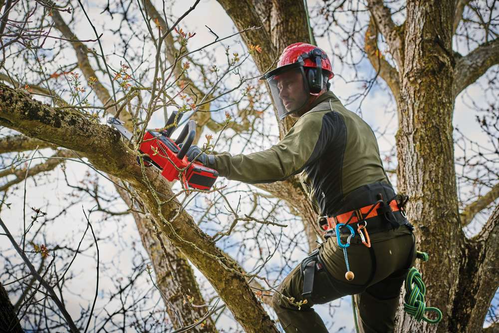 Motosega a batteria Fortexxa 18/20 di Einhell