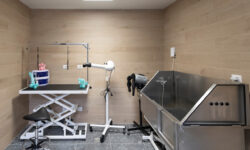 VIRIDEA Castenedolo Toelettatura