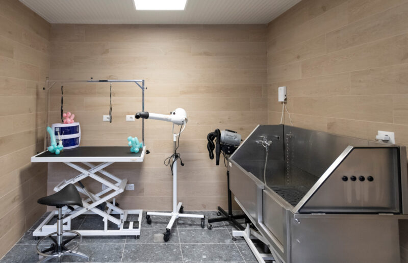 VIRIDEA Castenedolo Toelettatura