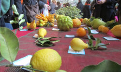 AgruMI 2023 a Milano