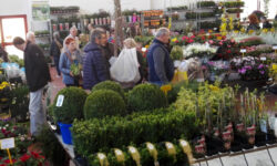 Vita In Campagna 2023