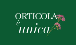 Orticola Vs Roma