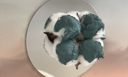 SIGMA COATINGS Colore2023