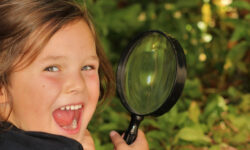 VIRIDEA Bambini 2023